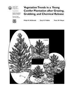 Vegetation Trends in a  Young Conifer Plantation after Grazing,