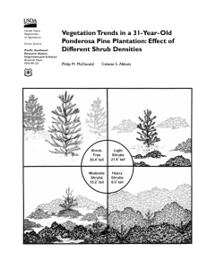 Vegetation Trends in a 31-Year-Old Ponderosa Pine Plantation: Effect of
