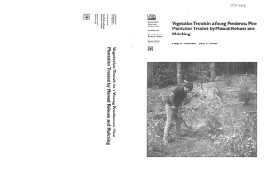 by Vegetation Trends in aYoung Ponderosa Pine Plantation Treated Manual Release and