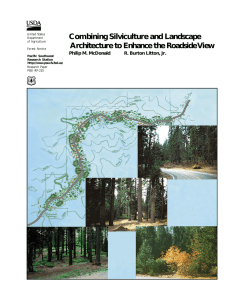 Combining Silviculture and Landscape Architecture to Enhance the Roadside View United States