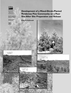 Development of a Mixed-Shrub–Planted Ponderosa Pine Community on a Poor
