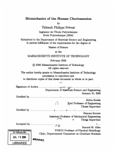 Biomechanics  of the  Human  Chorioamnion