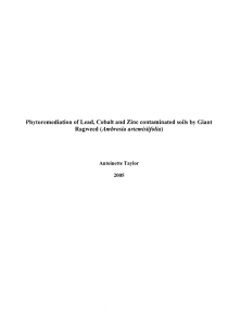 Phytoremediation of Lead, Cobalt and Zinc contaminated soils by Giant Ragweed 2005