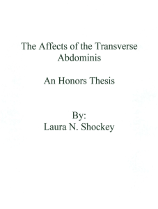 By: Laura N.  Shockey The Affects of the  Transverse Abdominis