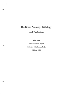 - The  Knee:  Anatomy,  Pathology and  Evaluation