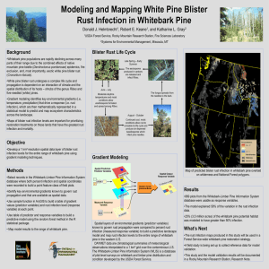 Modeling and Mapping White Pine Blister Rust Infection in Whitebark Pine