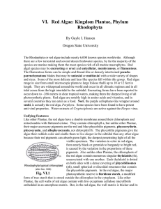 VI.  Red Algae: Kingdom Plantae, Phylum Rhodophyta By Gayle I. Hansen