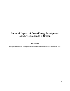 Potential Impacts of Ocean Energy Development on Marine Mammals in Oregon