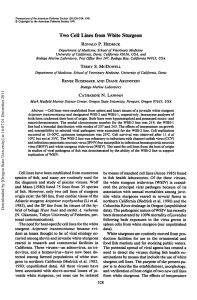 Two Cell Lines from White Sturgeon RONALD P. HEDRICK