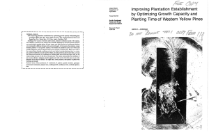 Improving Plantation Establishment by Optimizing Growth Capacity and