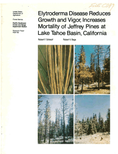 Elytroderma Disease Red uces Growth and Increases Mortality of Jeffrey Pines at·