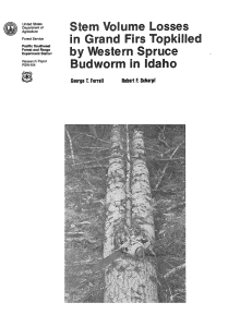Stem Volume Losses in Grand Firs Topkilled Western Spruce Budworm in Idaho
