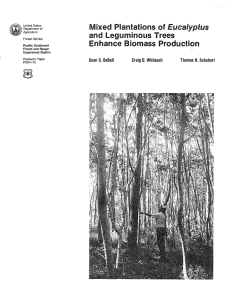 Eucalyptus and leguminous Trees Enhance Biomass Production Dean S. DeBell