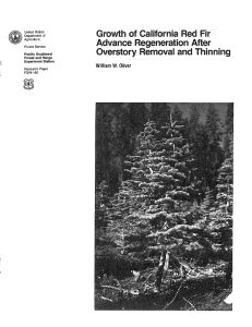 Advance Grovvth of  California Red Fir Regeneration ABter Overslory Removal and Thinning