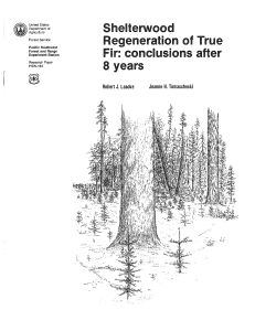 Shelterwood Regeneration of True Fir: conclusions after 8 years