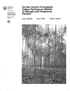 Eucalyptus Saligna Six-Year Grow h of Planlings as Affected