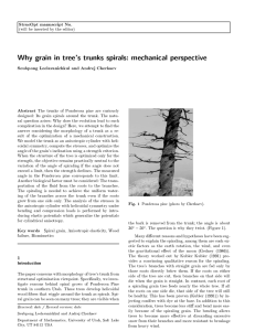 Why grain in tree's trunks spirals: mechanical perspective StrucOpt manuscript No. Abstract