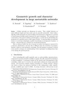 Geometric growth and character development in large metastable networks K. Barmak E. Eggeling