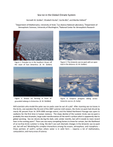 Sea Ice in the Global Climate System 