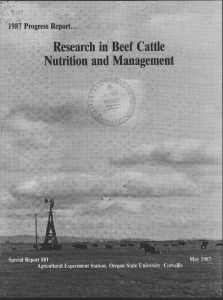 Research in Beef Cattle Nutrition and Management 1987 Progress Report... May 1987