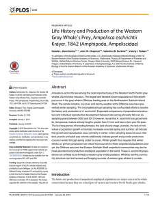 Life History and Production of the Western Krøyer, 1842 (Amphipoda, Ampeliscidae)