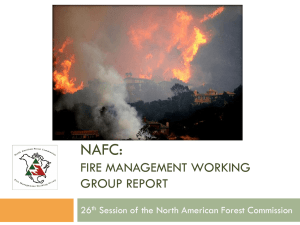 NAFC: FIRE MANAGEMENT WORKING GROUP REPORT 26