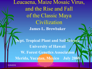 Leucaena, Maize Mosaic Virus, and the Rise and Fall Civilization