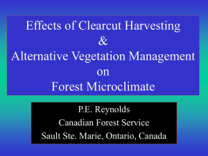 Effects of Clearcut Harvesting &amp; Alternative Vegetation Management on