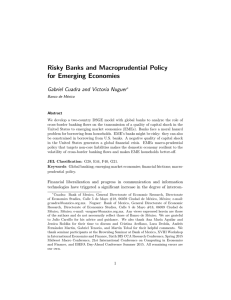 Risky Banks and Macroprudential Policy for Emerging Economies