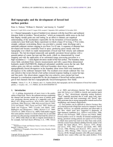 Bed topography and the development of forced bed surface patches