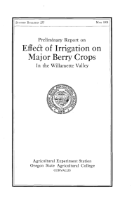 Effe&amp; of Irrigation on Major Berry Crops Preliminary Report on