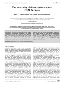 The selectivity of the occipitotemporal M170 for faces Jia Liu, Masanori Higuchi,
