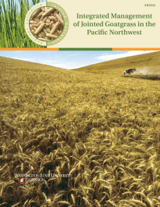 Integrated Management of Jointed Goatgrass in the Pacific Northwest J o i