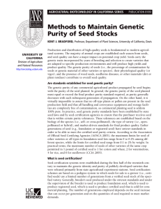 Methods to Maintain Genetic Purity of Seed Stocks