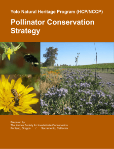 Pollinator Conservation Strategy Yolo Natural Heritage Program (HCP/NCCP)