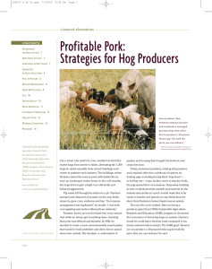 Profitable Pork: Strategies for Hog Producers D