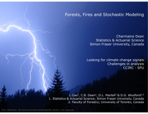 Forests, Fires and Stochastic Modeling