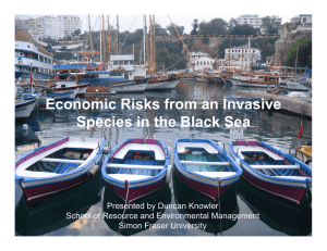 Economic Risks from an Invasive Species in the Black Sea