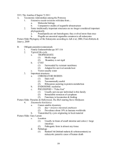 XVI. The Amebas (Chapter 7) 2011 A. Taxonomic relationships among the Protozoa