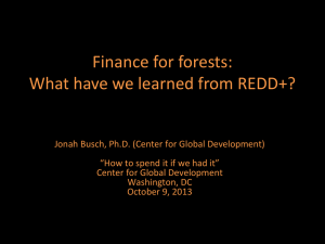 Finance for forests: What have we learned from REDD+?