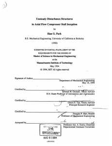 Unsteady  Disturbance Structures Han G. Park