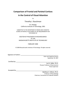 Comparison of Frontal and Parietal Cortices Timothy J. Buschman B.S. Biology