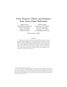 Voter Turnout: Theory and Evidence from Texas Liquor Referenda