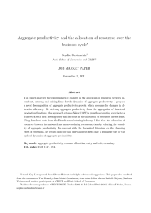 Aggregate productivity and the allocation of resources over the business cycle ∗