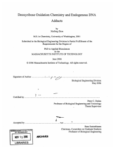 Deoxyribose  Oxidation Chemistry and Endogenous  DNA Adducts