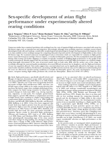 Sex-specific development of avian flight performance under experimentally altered rearing conditions