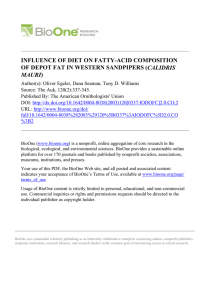 INFLUENCE OF DIET ON FATTY-ACID COMPOSITION CALIDRIS MAURI