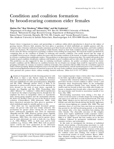Condition and coalition formation by brood-rearing common eider females