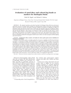 Evaluation of nasal discs and colored leg bands as