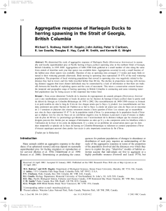 Aggregative response of Harlequin Ducks to British Columbia